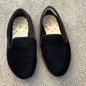 Birdies The Starling in box